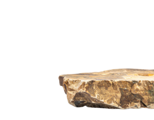 A flat, textured rock with layered patterns and earthy colors, showcasing natural geological features.