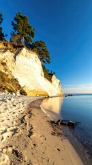 Coastal Landscape: White Cliffs, Beach, Blue Sky, Trees.