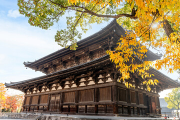 Fototapeta premium The big ancient wooden sanctuary of Toji Temple in Kyoto , Japan. To-ji temple is a UNESCO World heritage Site and houses many National Treasures and important Cultural properties of Japan.