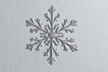 Detailed embossed snowflake design on textured light gray background