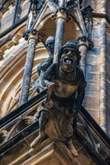 Gargoyle of St.Vitus Cathedral, detail of building
