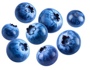 Obraz premium Scattered Blueberries in Motion, Dynamic Composition, Isolated