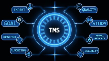 Fototapeta premium Digital infographic diagram with central hub showing TMS and connected nodes for expert quality goal study knowledge algorithm neural networks and security
