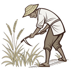 Asian farmer wearing a conical hat harvests ripe rice stalks with a sickle in a field
