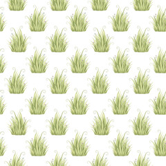 seamless pattern with green leaves or grass
