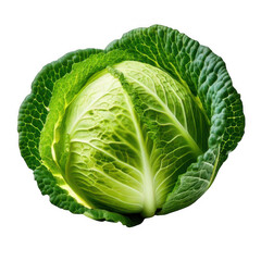 fresh cabbage head isolated on white or transparent.