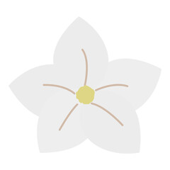 Simple White Five Petal Flower Illustration Design