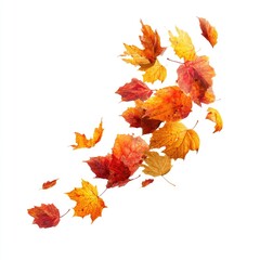 Obraz premium Colorful autumn leaves swirling in motion against a white background