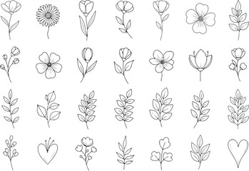 Vector art of collection of handdrawn floral elements and leaves