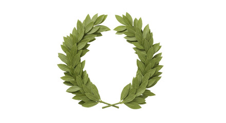 Isolated laurel wreath symbol of victory honor success award achievement, classic design