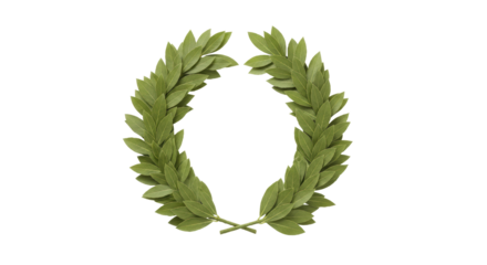Isolated laurel wreath symbol of victory honor success award achievement, classic design
