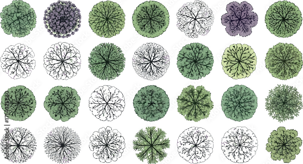 Poster vector art of collection of various trees from a topdown perspective
