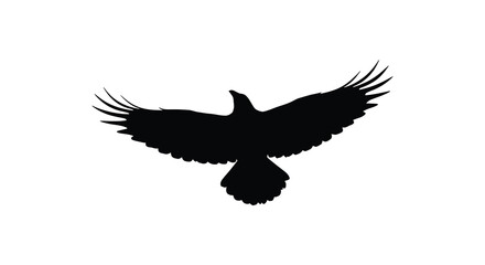 A striking silhouette of a bird in mid flight against a white background