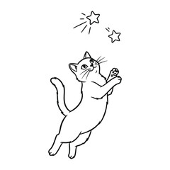 Dream Catcher: A playful cat gazes upwards, paws outstretched as if reaching for the whimsical sparkle of a star, evoking the playful wonder of a kitten's imaginative world.