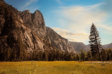 View along Yosemite Valley in summer with blue sky and sunlight.
