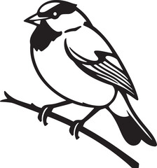 Bird Sparrow. Hand drawn vector illustration