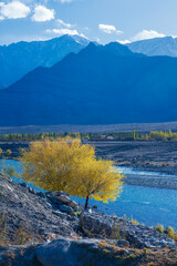 Landscape Autumn view of Ladakh India.Himalayas, Ladakh, India