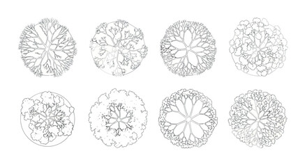 Vector art of top view illustration of various stylized trees