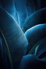 Intricate patterns and deep blues create a captivating close-up of overlapping tropical leaves.