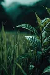 Lush green foliage of leaves and grass, a close-up view showcasing intricate textures and deep emerald tones.