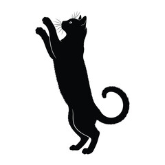 Graceful Silhouette of a Cat: A sleek black cat stands elegantly, showcasing its slender silhouette against the backdrop, capturing the cat's poise and captivating attention.