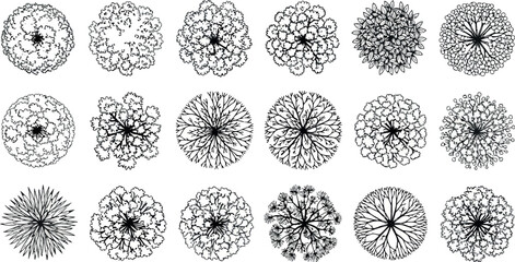 Vector art of topdown view of various tree types in a stylized, handdrawn illustration