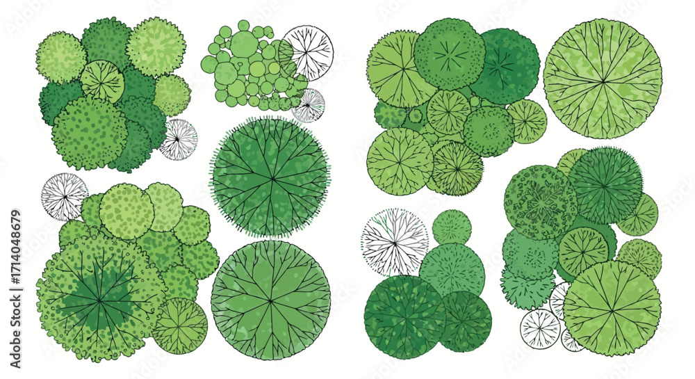 Poster vector art of topdown view of various green trees and shrubs