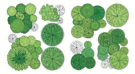 Vector art of topdown view of various green trees and shrubs