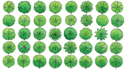 Vector art of vibrant green tree top view illustrations