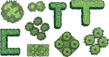 Vector art of top view of various green bushes and hedges