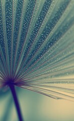 A close-up view of a palm frond, displaying intricate veins and water droplets, creating a serene and detailed botanical image.