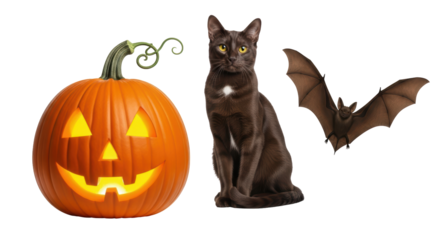 Isolated spooky Halloween composition with jack-o'-lantern, brown cat, and bat, autumn decor