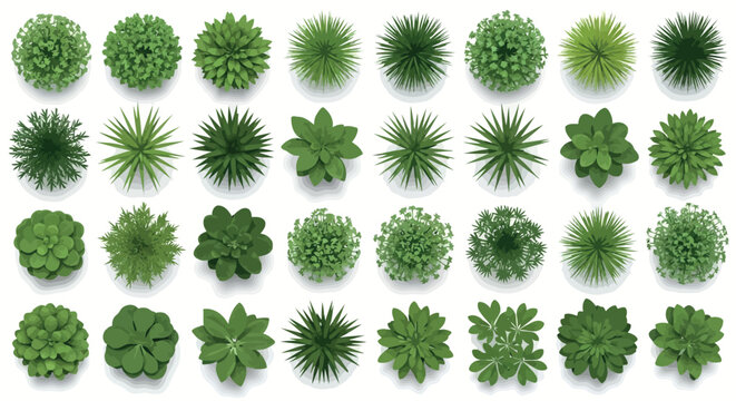 Vector art of large collection of diverse green plants and trees from a topdown perspective isolated on white