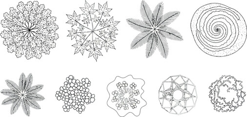 Vector art of collection of diverse snowflake and botanical topdown illustrations
