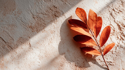 Rust-orange leaves on a slender stem rest on a light textured surface under soft diagonal light.