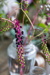 Decoration with phytolacca americana