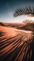 Palm shadows dance across the warm desert sands at sunrise.