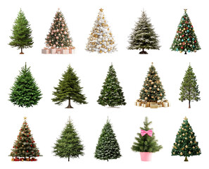 PNG Variety of decorated Christmas trees, element set on transparent background