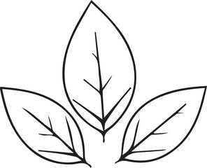 vector illustration of a leaf