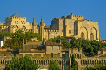 Palais des Papes (Palace of the Popes) in Avignon, France 