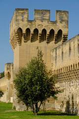 Fototapeta premium preserved medieval stone fortification wall and gateway, crenellations, and machicolations in Avignon, France