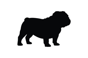 Black silhouette of a standing english bulldog