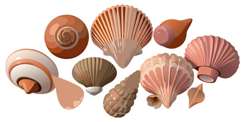 Create a highly realistic, high-resolution image of a collection of assorted sea shells suspended in mid-air or artistically arranged on a clean white background. Include a variety of shell types such