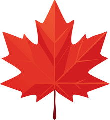 Autumn Maple Leaf Illustration and Vector with Fall Season Design