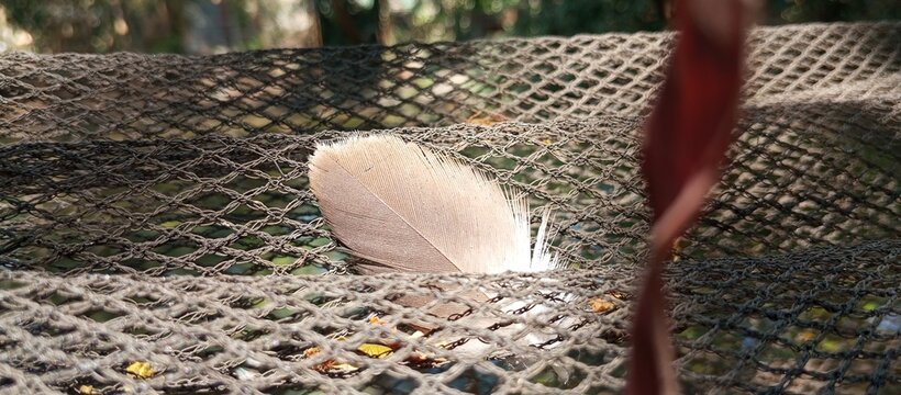 The feather looks softer, less harsh in the net as symbol of nightmare