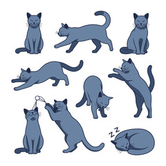 Playful Cats in Various Poses: A charming illustration presents a collection of adorable cats in a multitude of dynamic poses, exuding charm and versatility. 