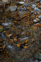 Mountain waterfall close-up with clear flowing water over rocks and autumn leaves, peaceful nature landscape in fall season