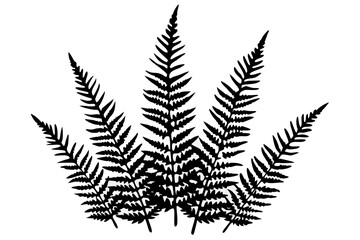 Naklejka premium vector fern leaf