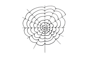 Spider web with black spider isolated on white background