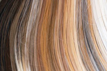 Fototapeta premium background hair color swatches